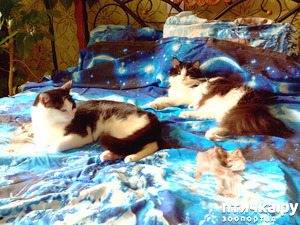 ����: ���� � ����� �������