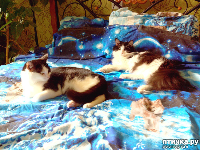 ���� 1: ���� � ����� �������