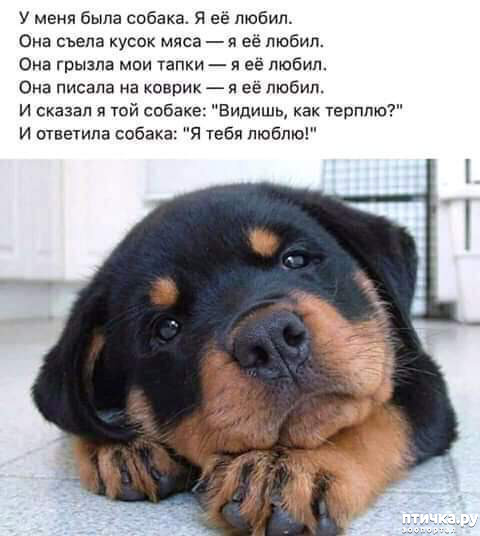 ���� 1: ��� ������, ������� � �����.