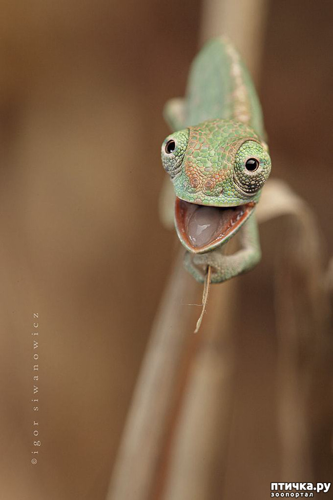 ���� 7: ���������