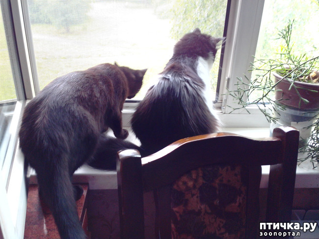 ���� 2: ���, ��� �� ������ ��� ����� ����������� ���� ��������.