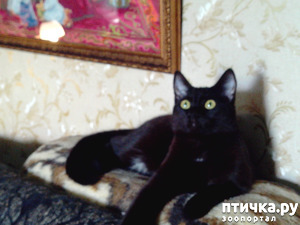 ����: ���, ��� �� ������ ��� ����� ����������� ���� ��������.