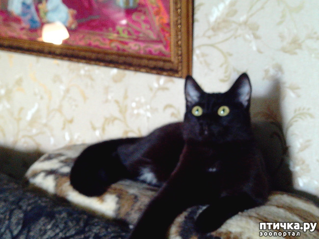 ���� 1: ���, ��� �� ������ ��� ����� ����������� ���� ��������.