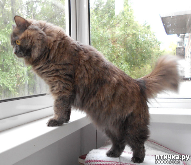 ���� 1: ������� ���������