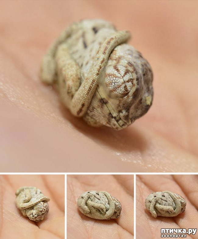 ���� 4: ���������