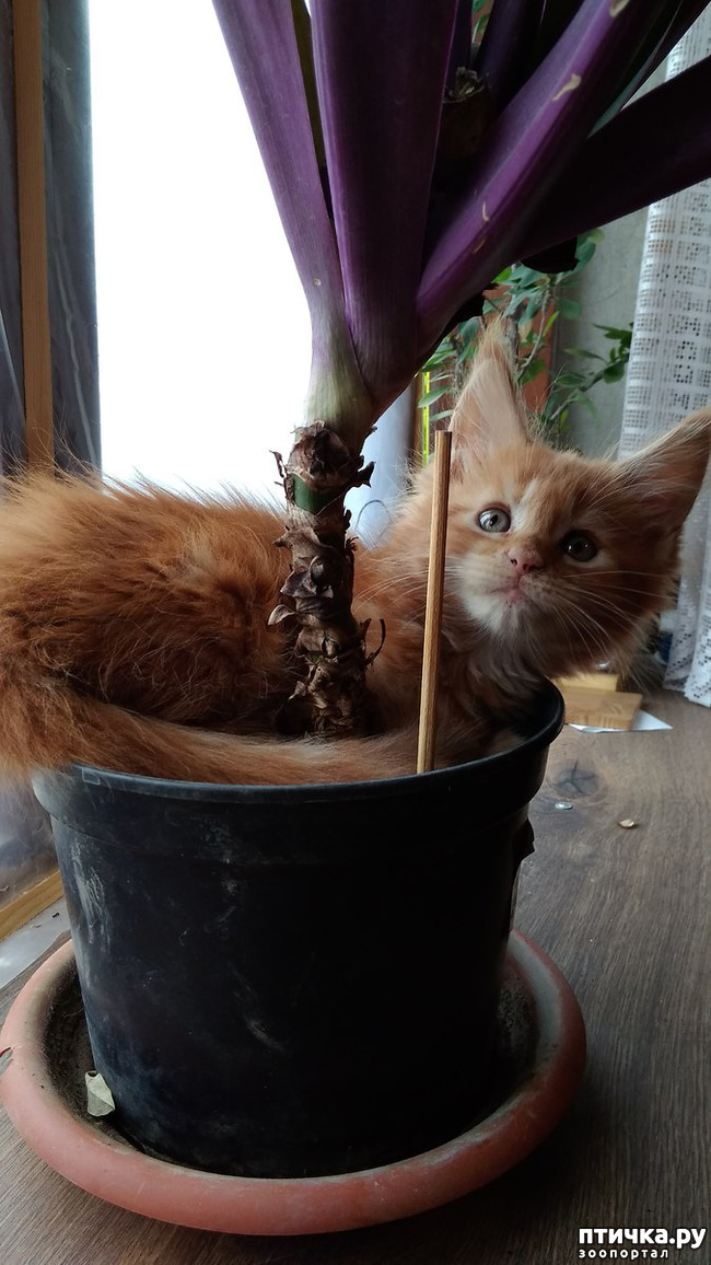 ���� 1: ��� ������� ��� �����