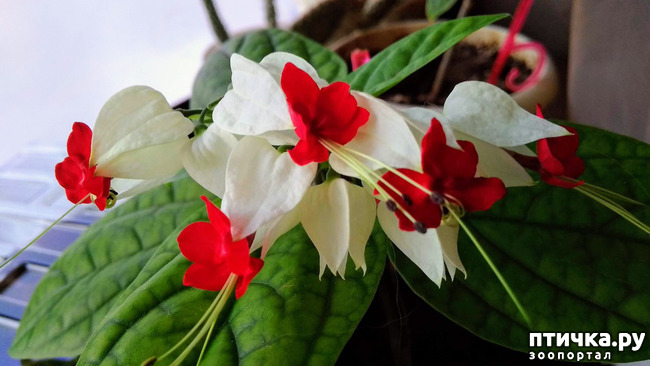 ���� 2: ��� ������� ��� �����