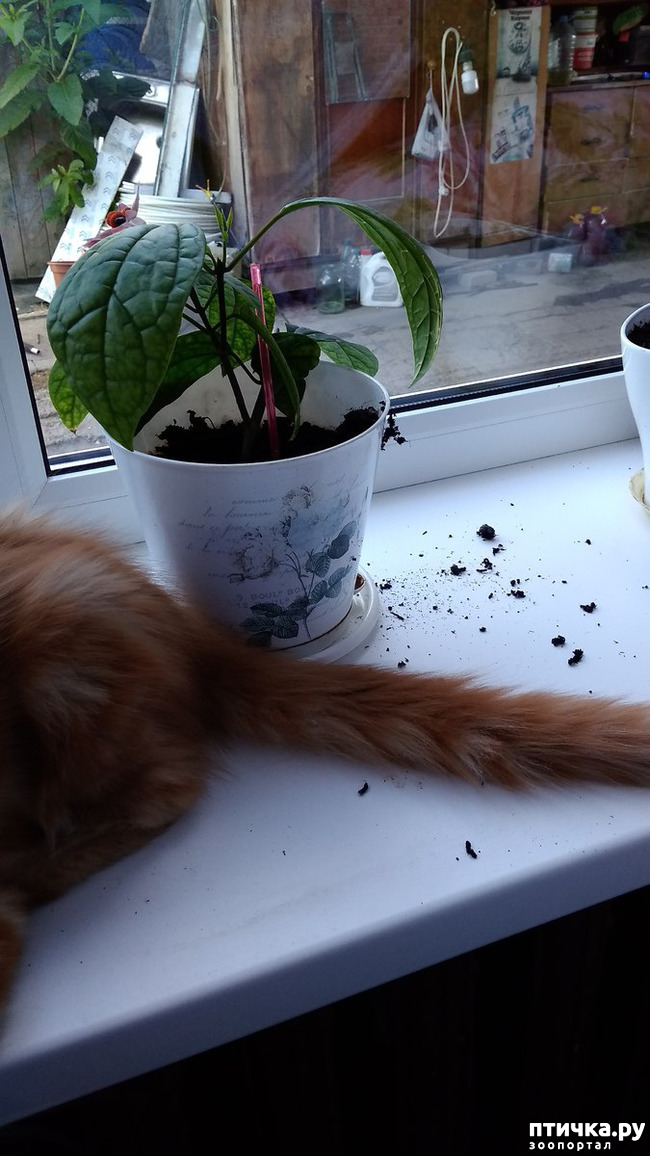 ���� 4: ��� ������� ��� �����