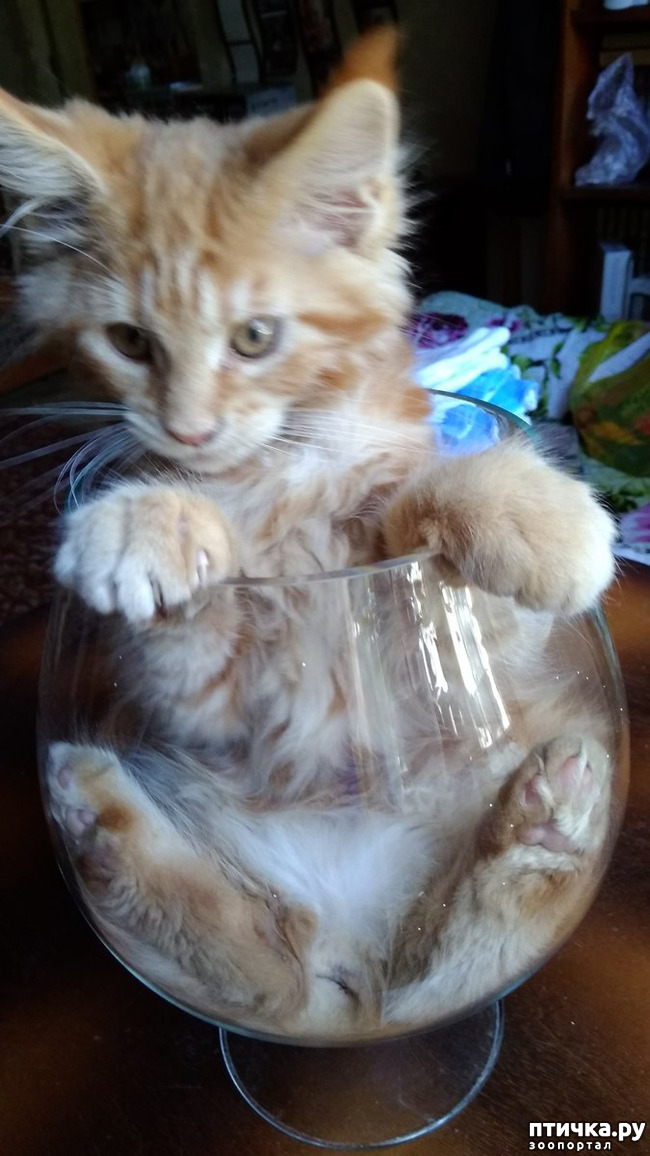 ���� 6: ��� ������� ��� �����