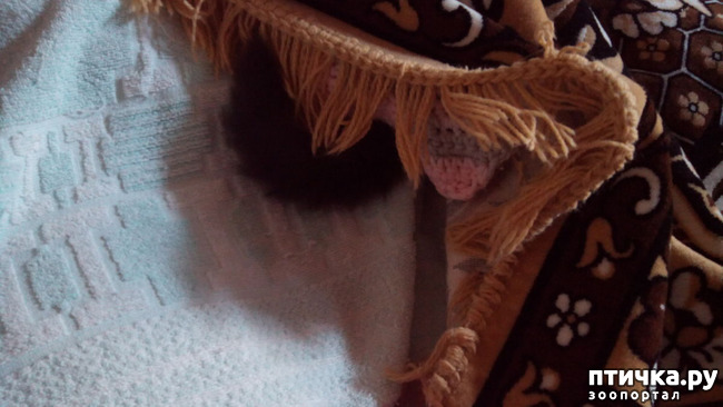 ���� 1: ���, ���, ���, ������, ���� - ������� ���� ������!