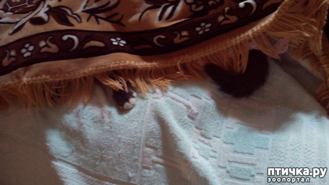 ���� 3: ���, ���, ���, ������, ���� - ������� ���� ������!