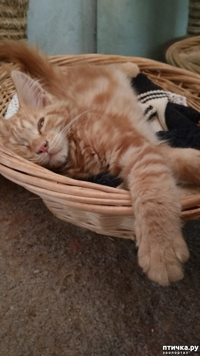 ���� 9: ��� ������� ��� �����