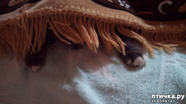 ���� 4: ���, ���, ���, ������, ���� - ������� ���� ������!