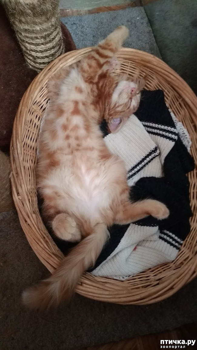 ���� 10: ��� ������� ��� �����