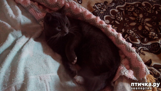 ���� 5: ���, ���, ���, ������, ���� - ������� ���� ������!