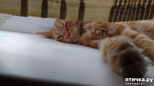 ���� 11: ��� ������� ��� �����