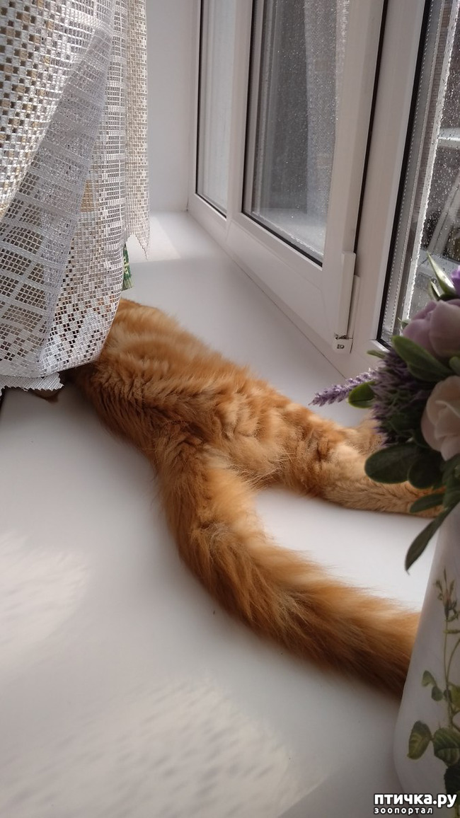 ���� 12: ��� ������� ��� �����