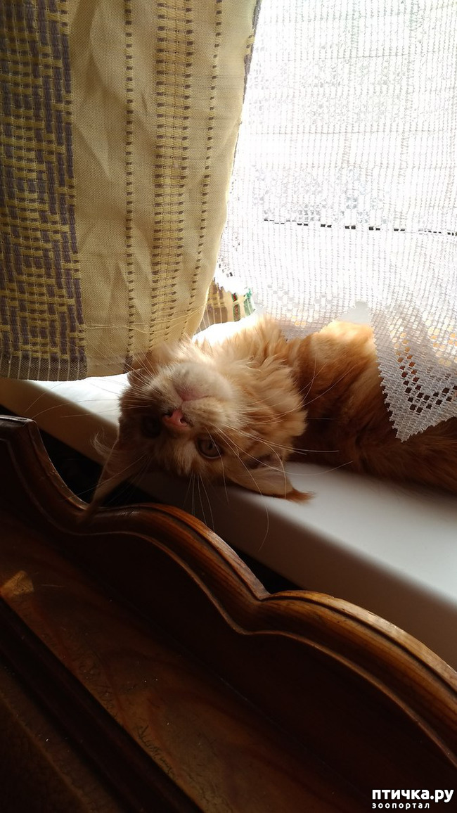 ���� 13: ��� ������� ��� �����