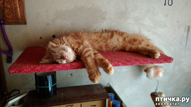 ���� 14: ��� ������� ��� �����