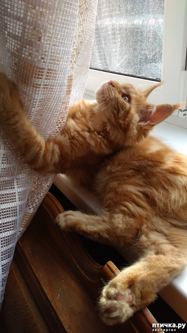 ���� 15: ��� ������� ��� �����