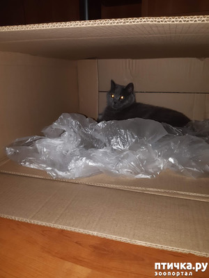 ����: ������ ����