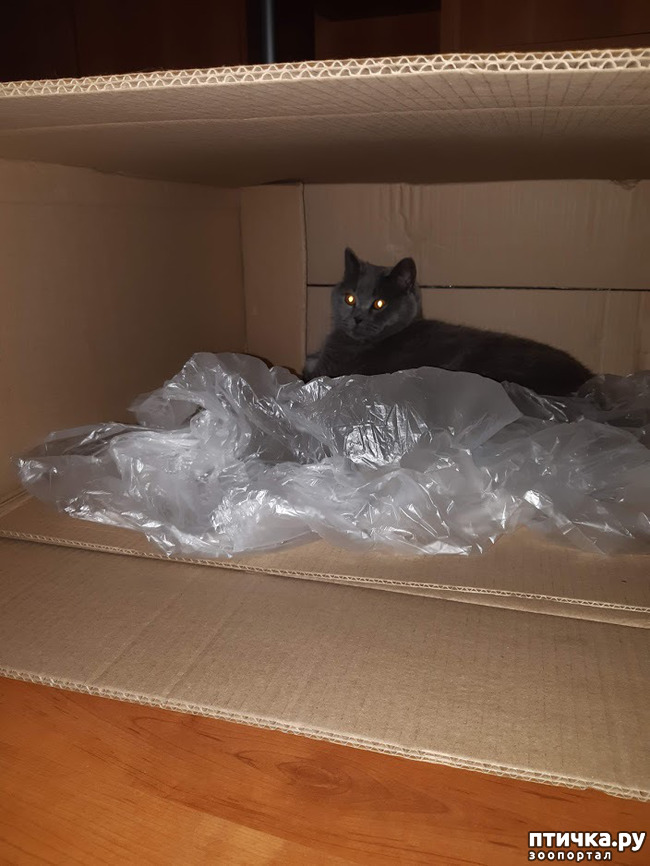 ���� 1: ������ ����