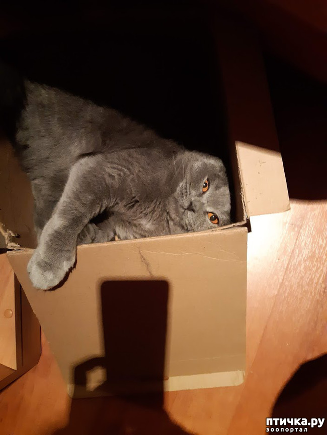 ���� 2: ������ ����