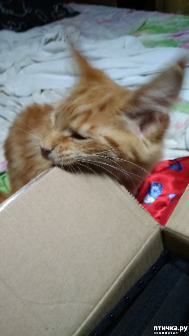 ���� 17: ��� ������� ��� �����