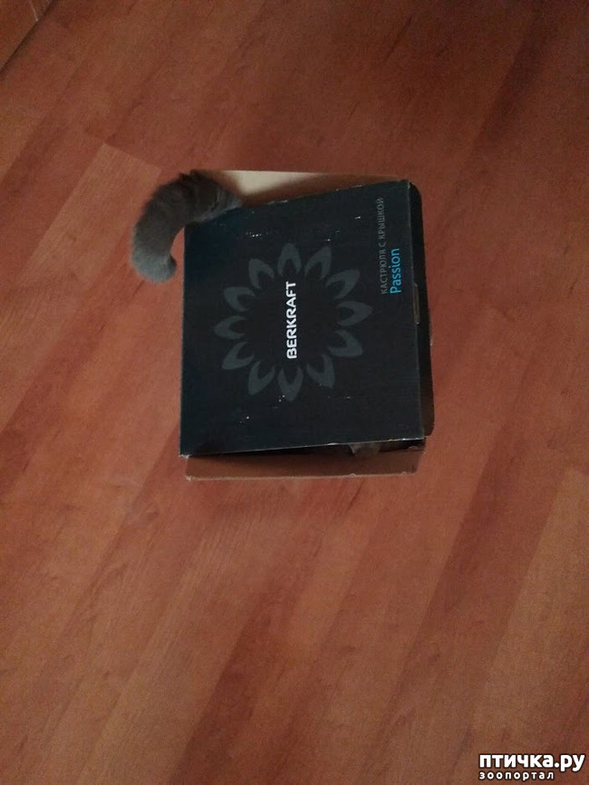 ���� 3: ������ ����