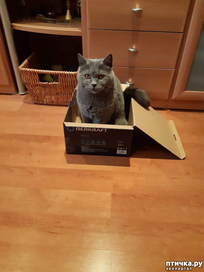 ���� 4: ������ ����