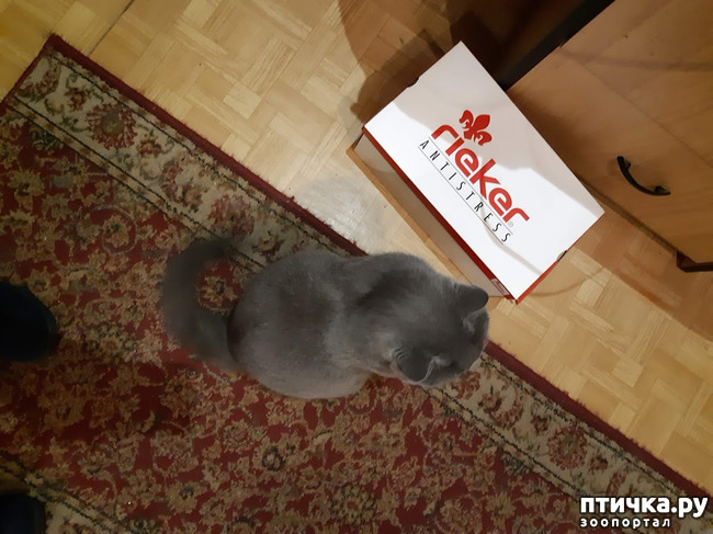 ���� 5: ������ ����