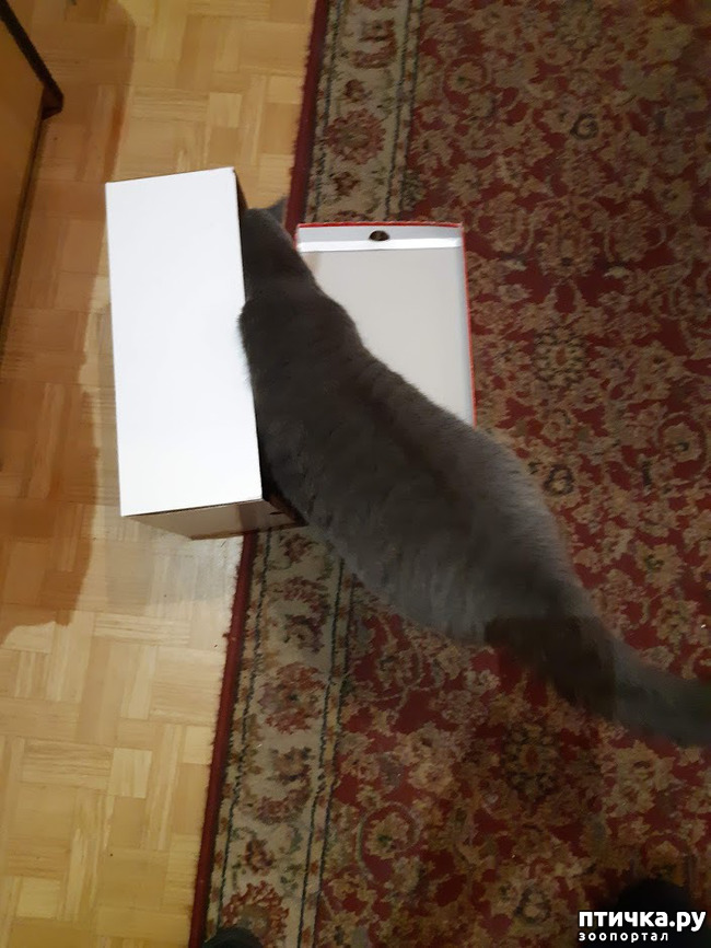 ���� 6: ������ ����