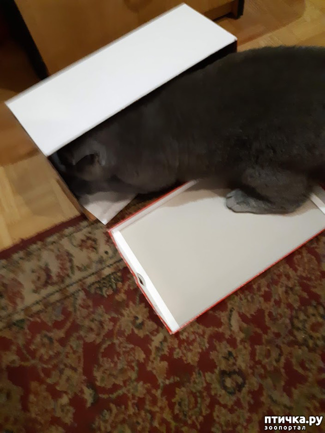 ���� 7: ������ ����