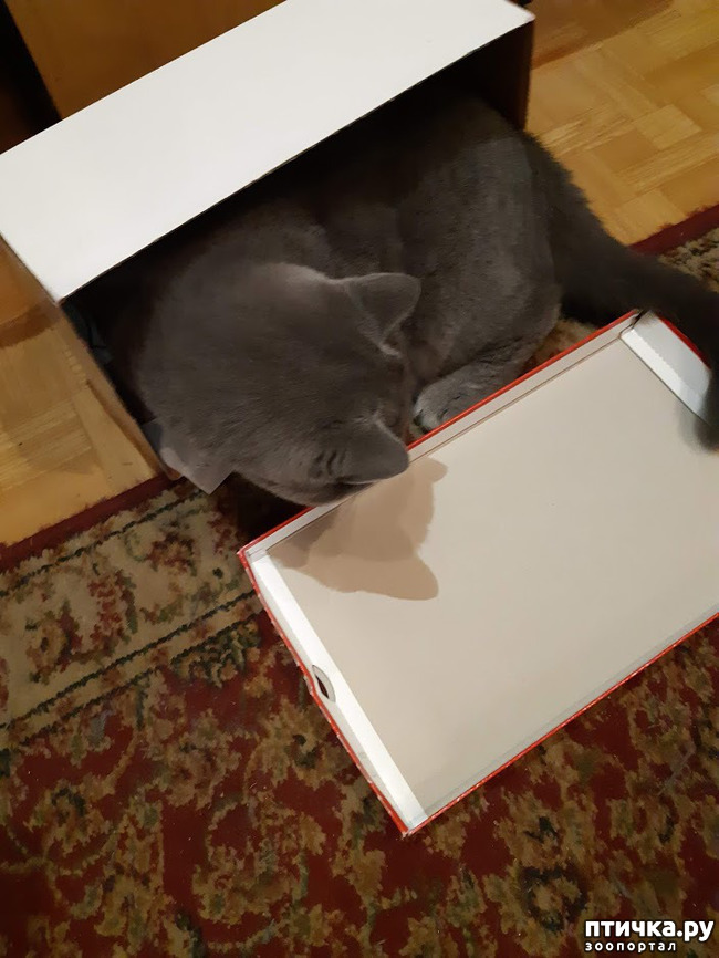 ���� 8: ������ ����