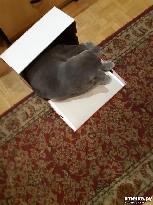 ���� 9: ������ ����