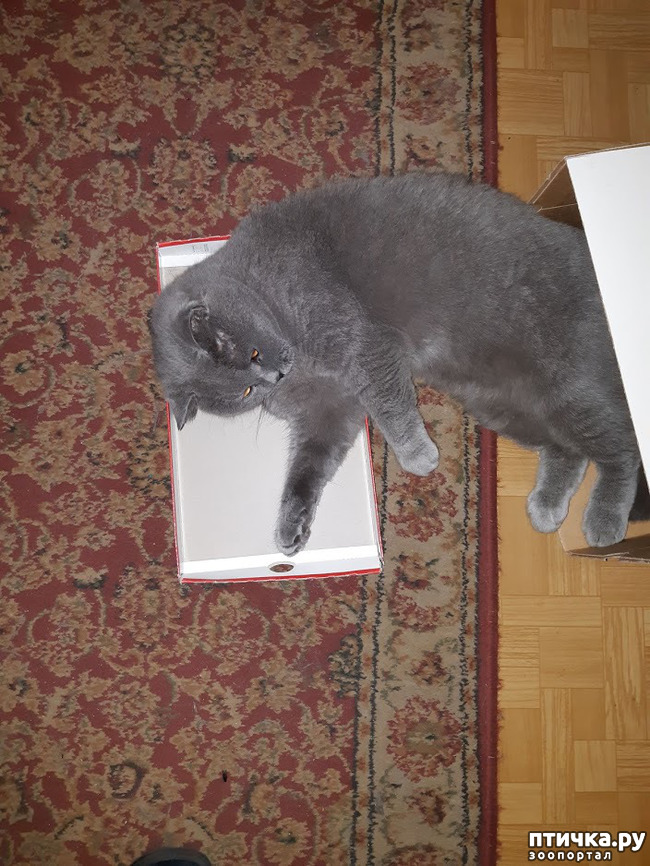 ���� 10: ������ ����