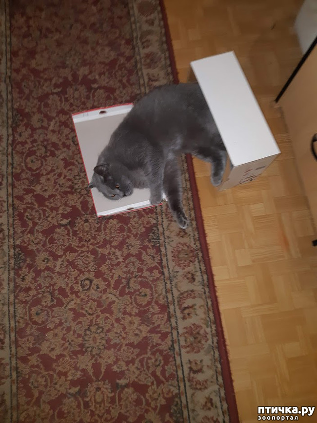 ���� 11: ������ ����