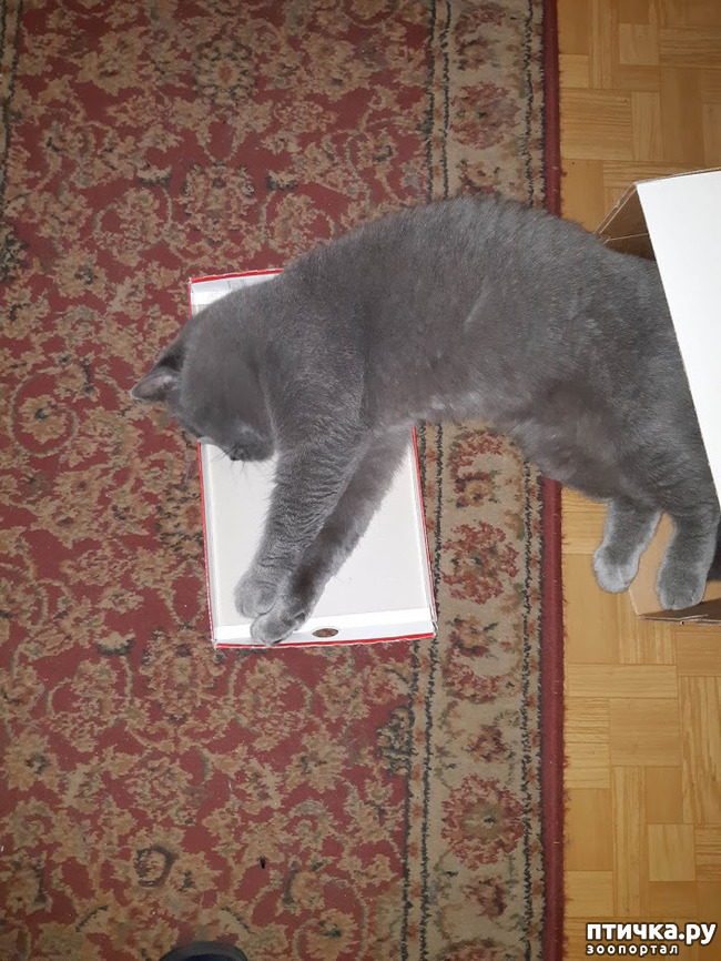 ���� 12: ������ ����