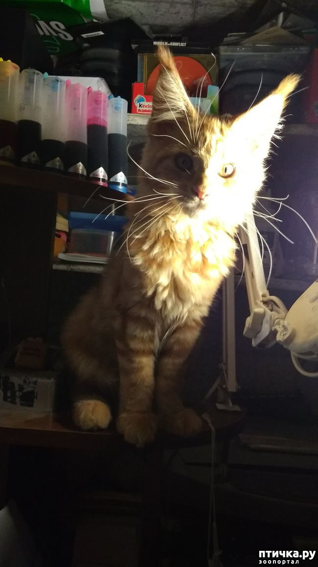 ���� 19: ��� ������� ��� �����