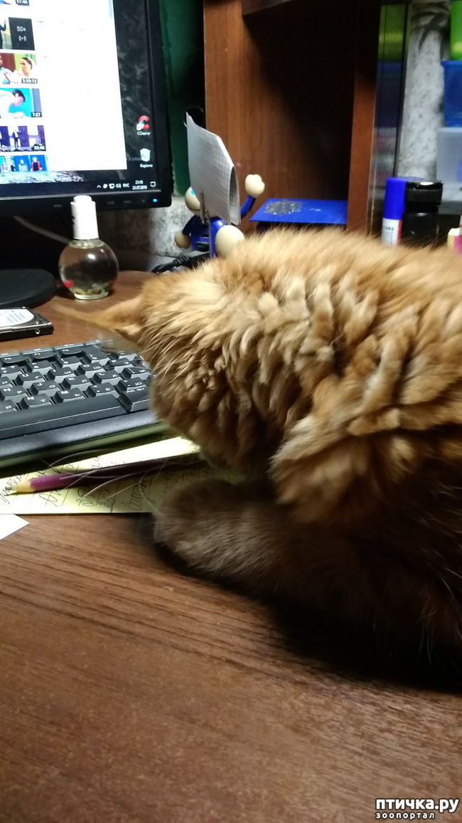 ���� 20: ��� ������� ��� �����