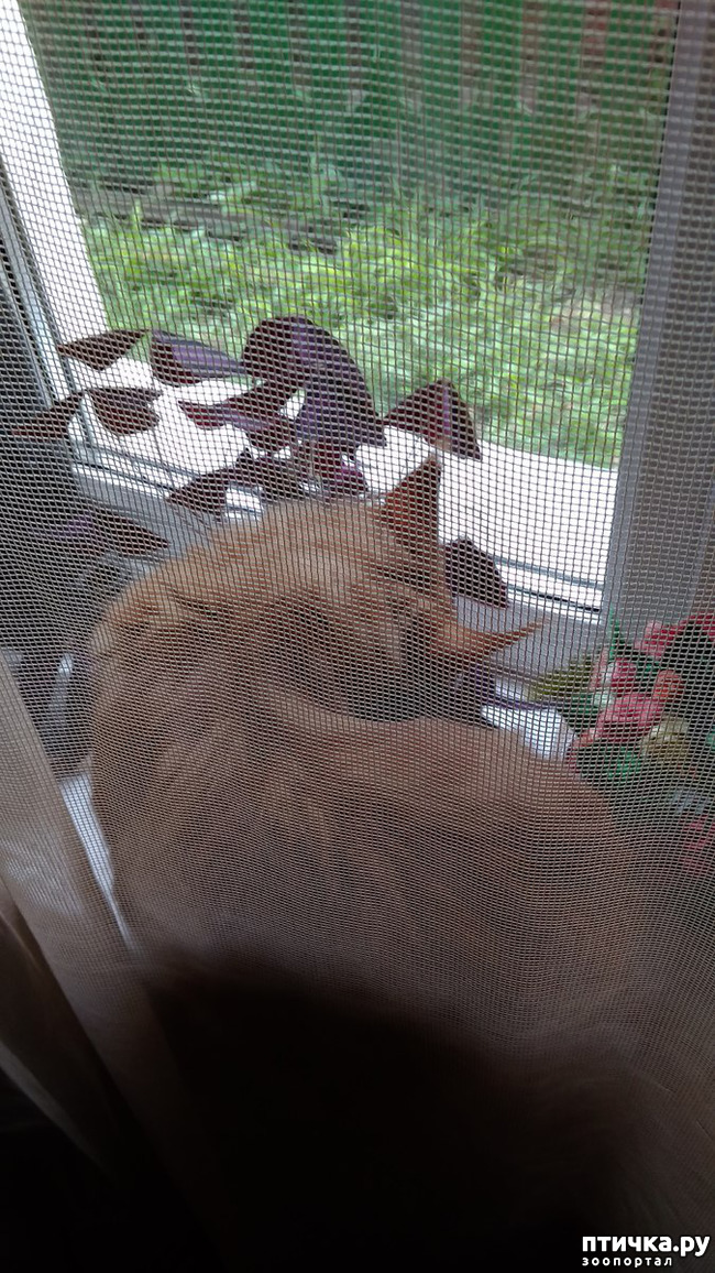 ���� 5: ��� ������� ��� �����