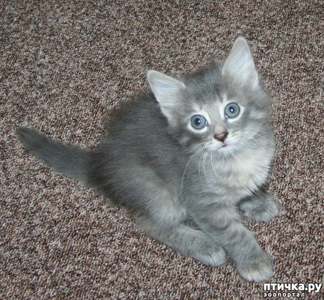 ���� 1: ����� �����