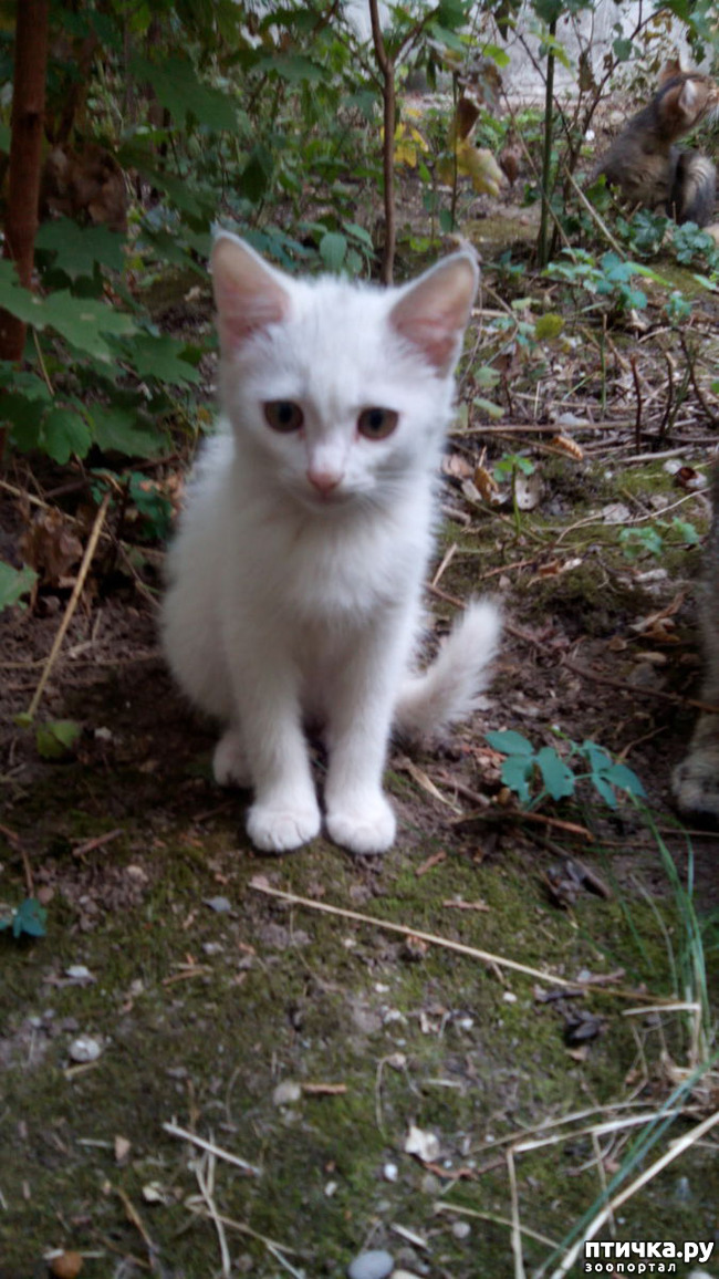 ���� 2: ����� �����