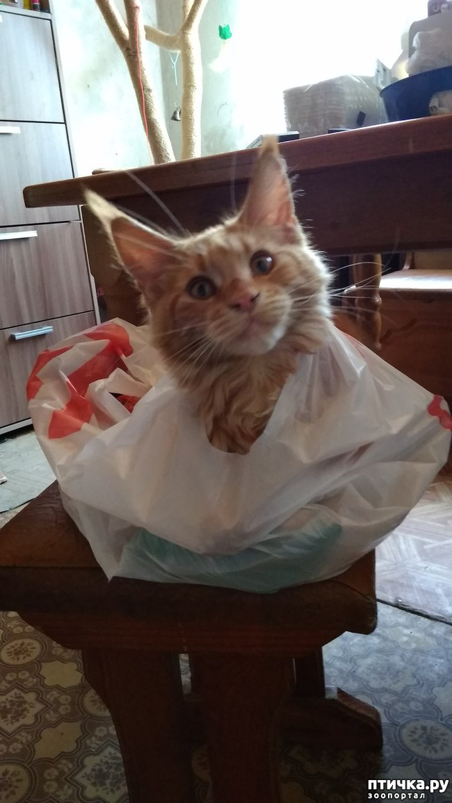 ���� 16: ��� ������� ��� �����