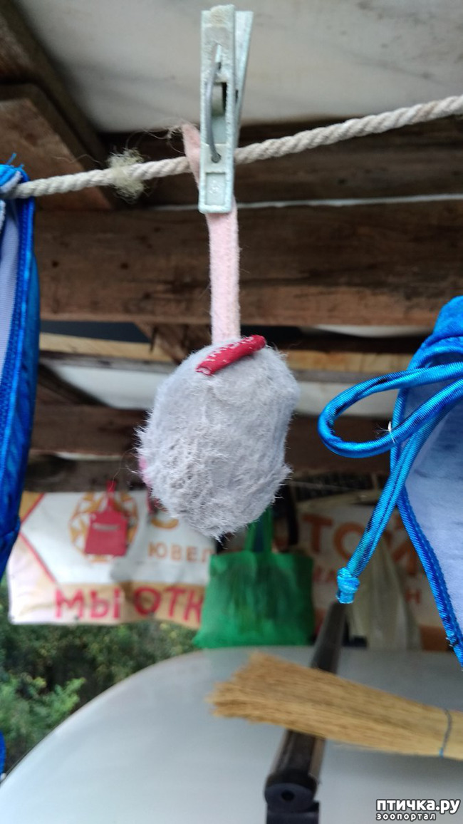 ���� 18: ��� ������� ��� �����