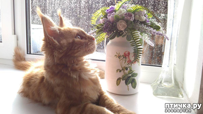 ���� 21: ��� ������� ��� �����