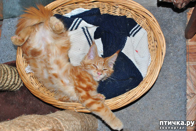 ���� 8: ��� ������� ��� �����