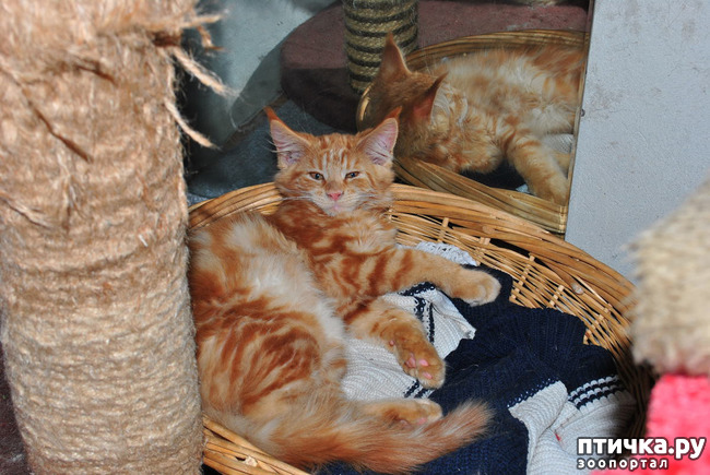 ���� 7: ��� ������� ��� �����