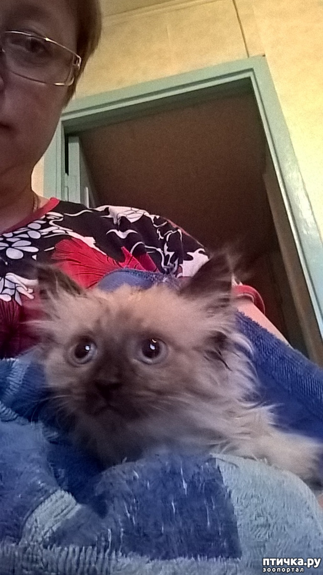 ���� 2: �����