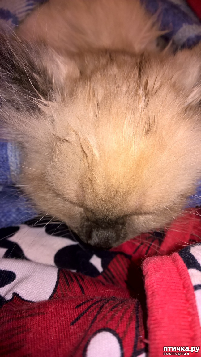 ���� 3: �����